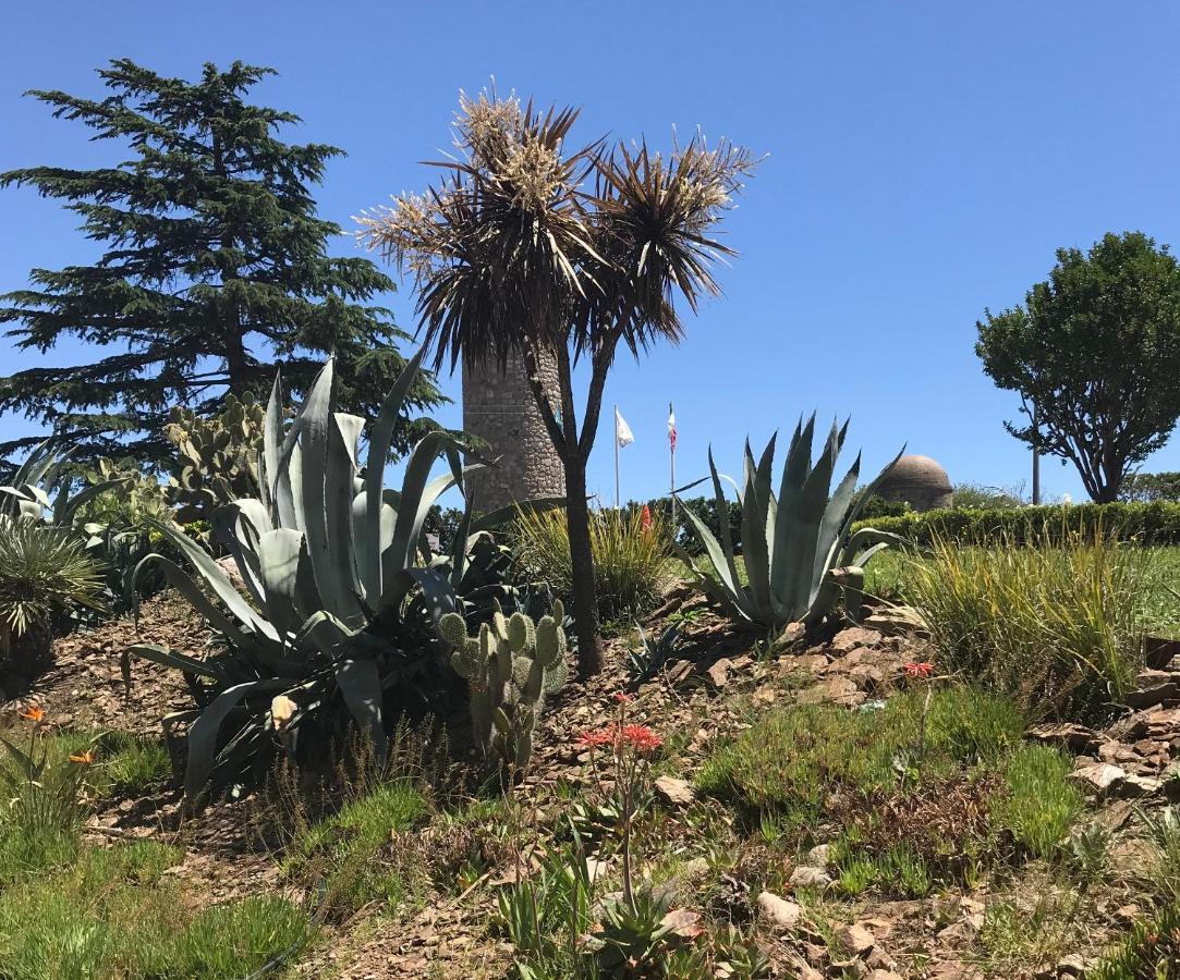 Hotel Provincial Sierra de la Ventana Εξωτερικό φωτογραφία